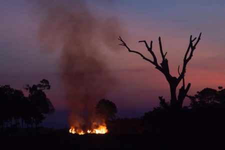 sistema de combate de focos de incêndios na amazonia bombeiros sobrevoam áreas de queimadas próximo a Porto Velho em Rondonia