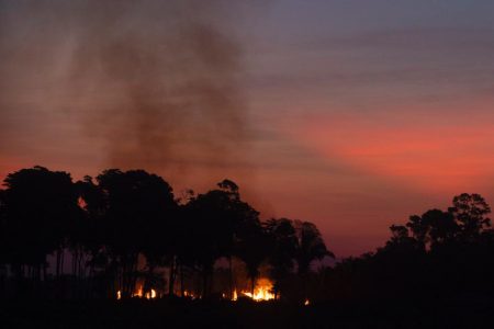 Fotografia colorida de sistema de combate de focos de incêndios na amazonia bombeiros sobrevoam áreas de queimadas próximo a Porto Velho em Rondonia