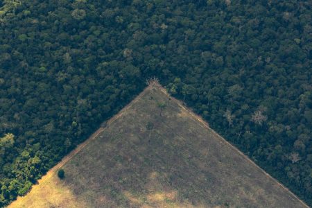 desmatamento na amazônia