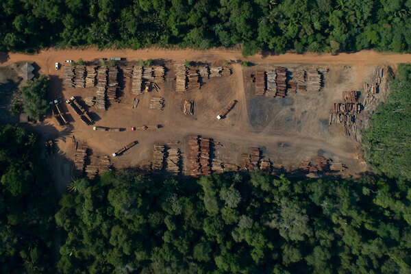 Madeiras na unidade de manejo sustentavel na floresta nacional do Jamari. Local: Itapuã do Oeste, Porto Velho (RO) COP28