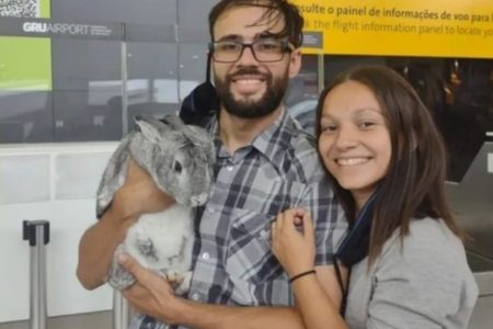 casal viaja com coelho