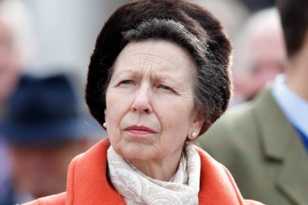 Na fotografia colorida, princesa Anne aparece olhando para cima na imagem