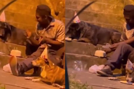 morador de rua canta parabéns com cachorros e come bolo na Colombia