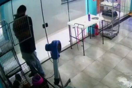 Homem dança com cachorra