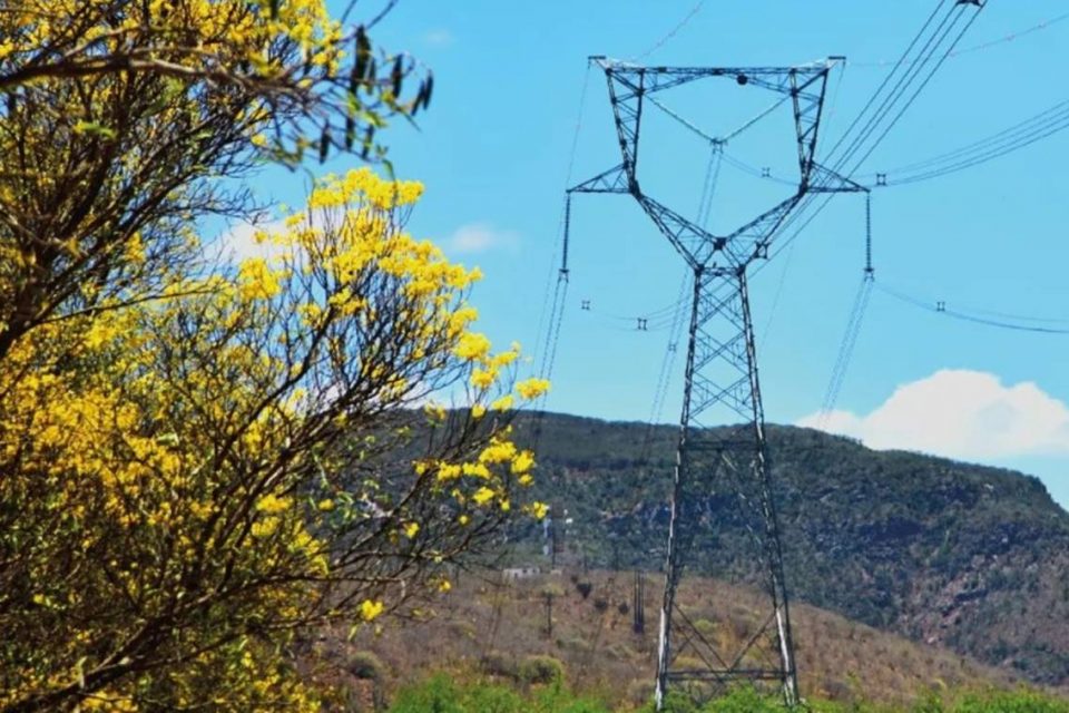 fotografia colorida de uma linha de energia elétrica