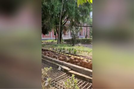 rio de janeiro casa da princesa isabel