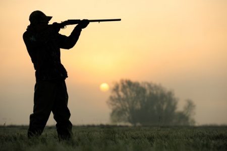 Porte e porte de arma. Pessoa segurando uma arma de fogo na nas mãos em um campo- Metrópoles