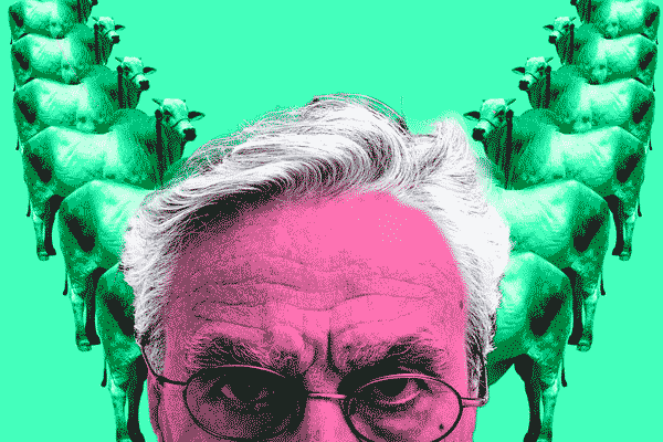arte caetano veloso
