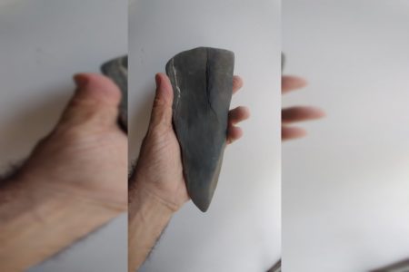 Pedra - fóssel - objeto indígena