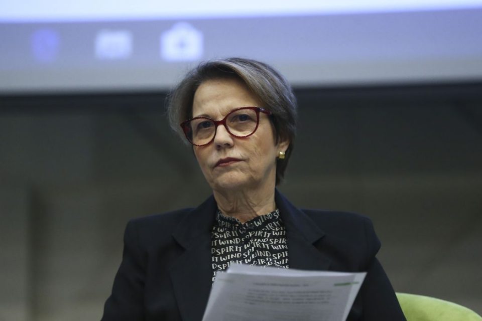 Tereza Cristina