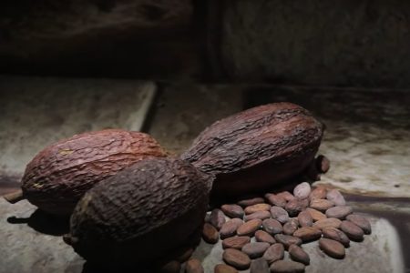 Exportação do chocolate russo
