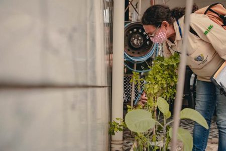 Imagem colorida mostra agente de saúde durante ação de combate ao Aedes aegypti em Anápolis (GO) dengue - Metrópoles