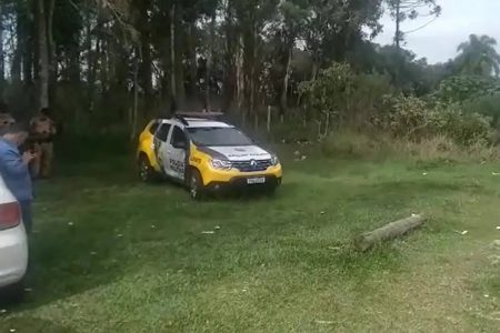 Foto colorida de carro de PRF em área verde