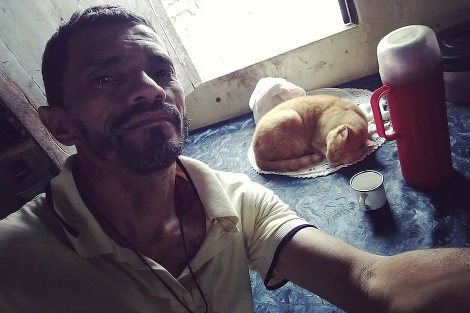 Januário, gato que virou meme em 2019 ao ser confundido com um bolo pelo tutor