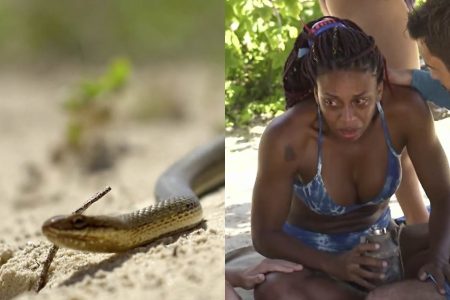 Fotos justapostas com cobra à esquerda passando sob campo de areia e participante do programa No Limite à direita com semblante amedrontado e chorando, sentada - Metrópoles