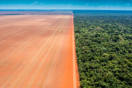 fotomostra uma área desmatada e uma área verde preservada em contraste