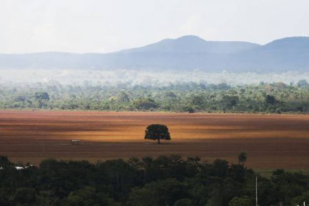 Área de cerrado desmatada para plantio no município de Alto Paraíso (GO)