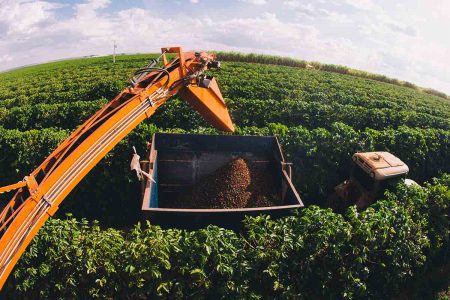 Plano Safra - Fazenda, Colheita