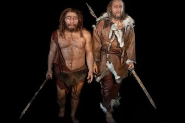 Bonecos de cera com representações do homo sapiens e neandertal - Metrópoles - neandertais e humanos