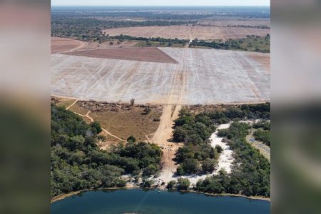 desmatamento no rio araguaia, em goiás