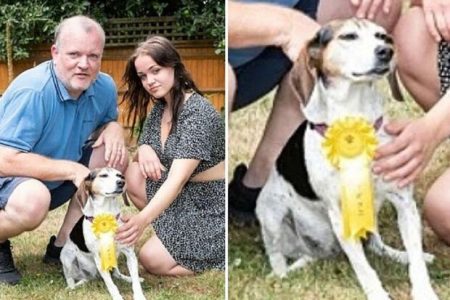 Cachorrinha voltou com medalha