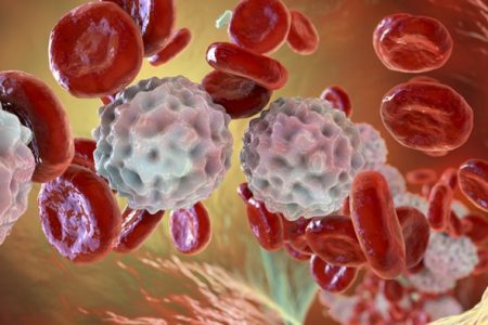 Ilustração celulas humanas leucemia- Metrópoles