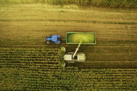 Maquina coletando produto de plantação pib - Metrópoles