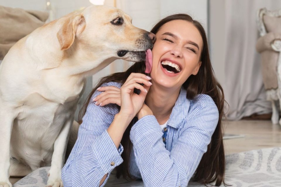 Cachorro lambendo mulher no rosto