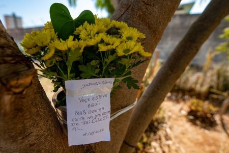 Flores amarelas e bilhete em tronco de árvore