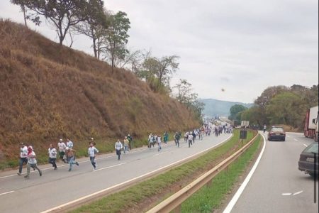Briga de torcidas do Palmeiras e Cruzeiro