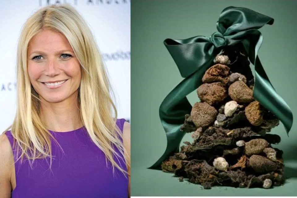foto colorida de muher loira. atriz Gwyneth Paltrow ao lado de esterco-Metrópoles