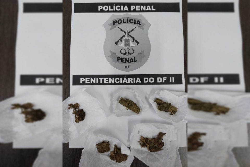 Porções de maconha em frente ao símbolo da Polícia Penal