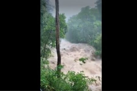 goias cabeça dagua em pirenopolis