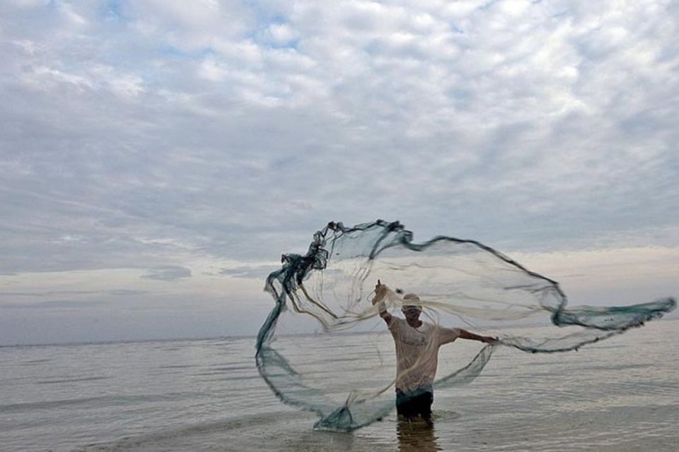 Pesca
