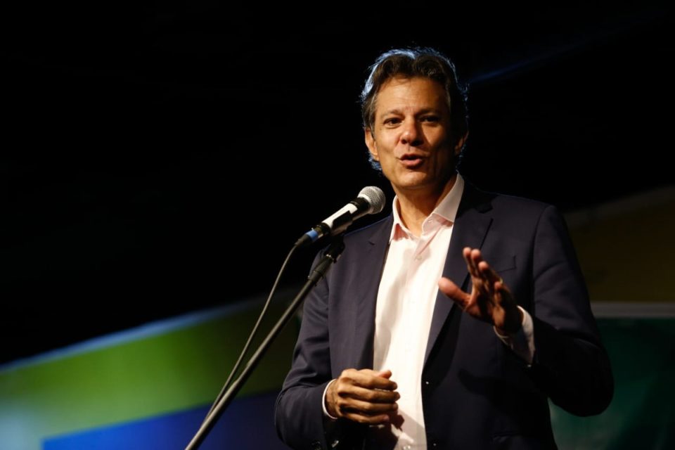 Fernando Haddad Metrópoles
