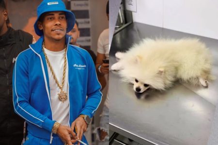 Montagem com fotos de MC Poze de Rodo e seu cachorro - Metrópoles