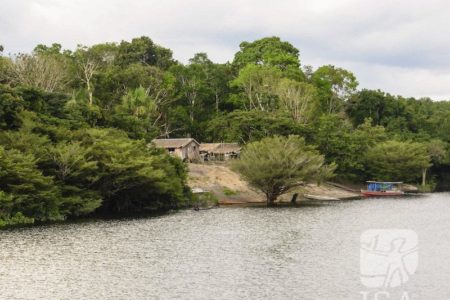 Margem do Rio Branco, em Roraima