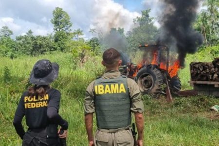 Foto colorida de agentes da Polícia Federal e do Ibama que desmobilizam extração de madeira em terra indígena no Pará - Metrópoles da