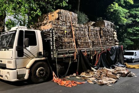 Polícia encontra 1 tonelada de maconha em caminhão na Grande SP