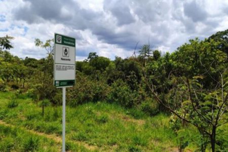 Imagem colorida de uma área verde de mata e uma placa nas cores verde e branco