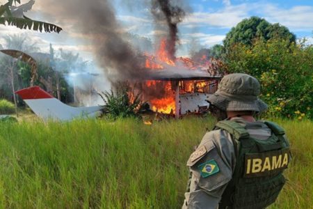 Agente do Ibama em operação em terras yanomami - Metrópoles