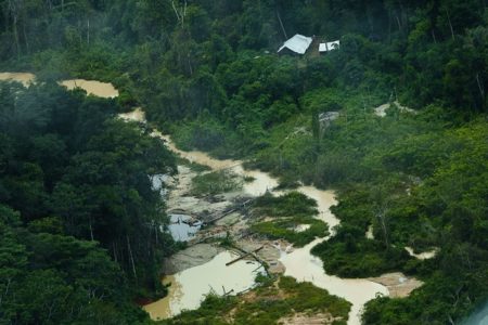 Governo Federal - Garimpo - Yanomami