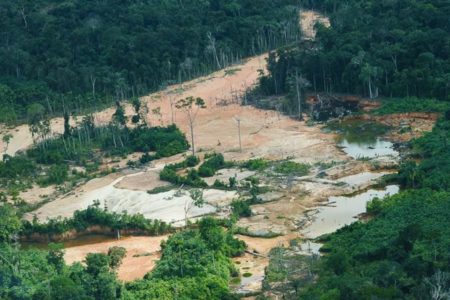 Governo Federal - Garimpo - Yanomami