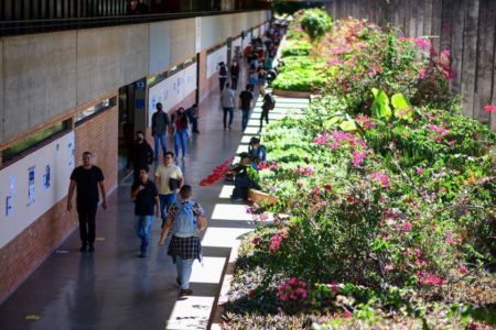 Foto colorida de alunos circulando no ICC da Universidade de Brasília UnB