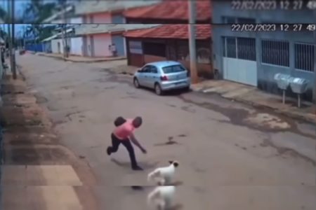 Homem de camisa vermelha arremessa pedra em cachorro branco no meio da rua