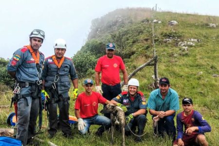 cachorro-regatado-canion-sc-metropoles