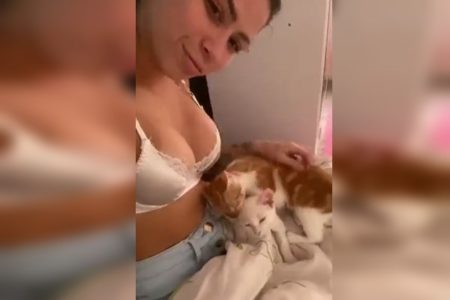 Fotografia mostra mulher sentada com dois gatos no colo