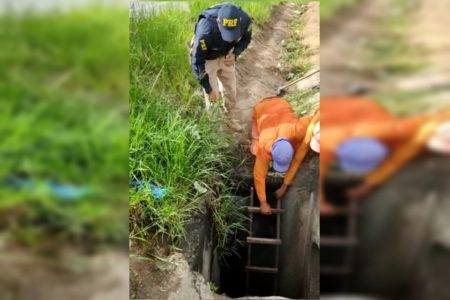 Foto colorida do idoso resgatado em Pernambuco