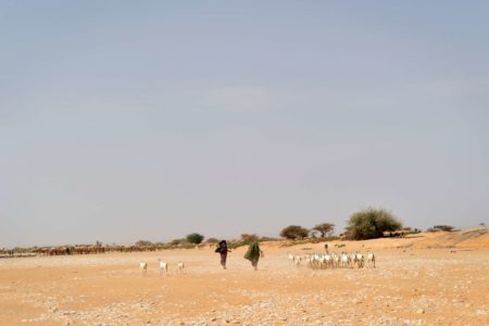 Fotografia colorida de paisagem árida em Puntland, na Somália