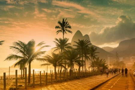 Praia do Rio de Janeiro com pés de coqueiro, ao fundo o pão de açúcar, fim de tarde - Metrópoles